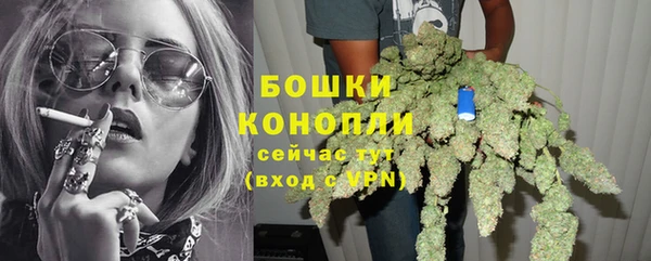 стафф Бородино