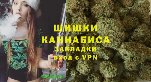 спайс Верея